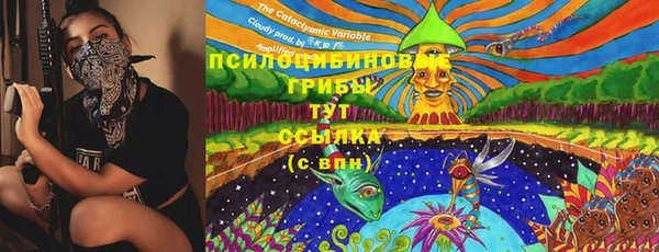 mdpv Чердынь