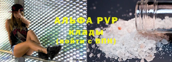 гашик Чегем
