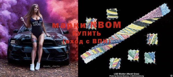 гашик Чегем